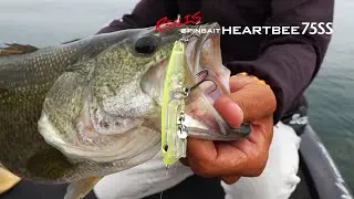 REALIS SPINBAIT HEARTBEE 75SS - Features Explained by Mr.Nishijima