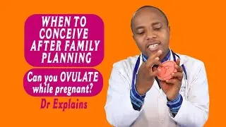 HOW LONG IT TAKES TO GET PREGNANT AFTER FAMILY PLANNING, CAN OVULATION OCCUR WHILE PREGNANT