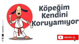 Köpeğim Kendini Koruyamıyor