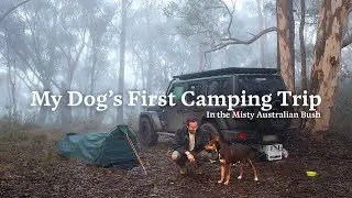 My Dogs First Camping Trip in the Misty Australian Bush