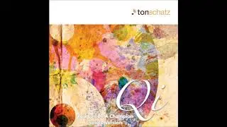 Tonschatz - You Can Be A Champion(Single Version)