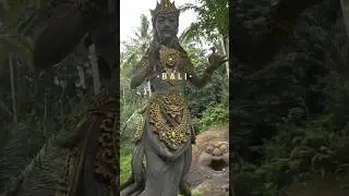 Best of Bali Indonesia 2024 🤩 #bali #ubud #shorts