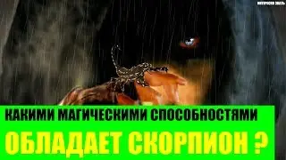 Какими магическими способностями обладает Скорпион?