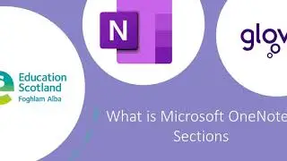 What is Microsoft OneNote? Sections