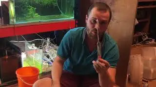 Рефрактометр против ареометра./ Refractometer vs hydrometer.