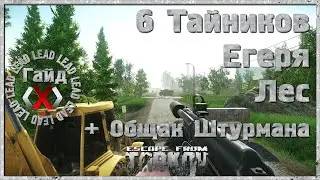 Тарков Гайд - 6 Тайников Егеря на карте Лес. Общак Штурмана. Свежий гайд в описании