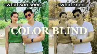 Whats it like being Color Blind? 👁️👁️ Job limitations, struggles, special glasses? Q&A 🕶️