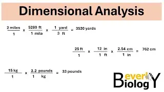 Dimensional Analysis