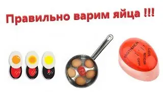 Индикатор (таймер) для варки яиц!!! Indicator (timer) for cooking eggs!