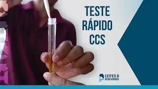 TESTE RÁPIDO DE CCS NA PROPRIEDADE RURAL