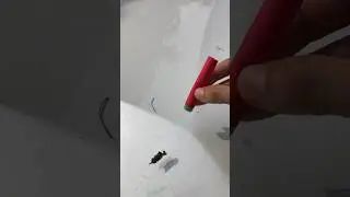 Cleaning Bird Shit Off Your Car Using A Nerf Dart