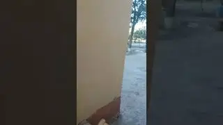To'rtkul tumani 5-son sanato'riya maktab internati(1)