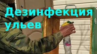 Дезинфекция ульев