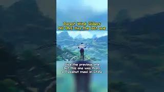Rarest Wind Gliders in Genshin
