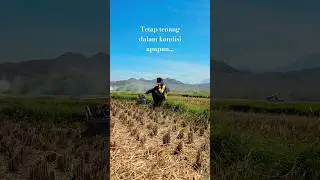 TIDAK GOYAH WALAU DITENGAH SAWAH🤣#Shorts