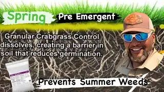 This will help prevent / Control Dallisgrass , crabgrass , Dandelions and more APPLY early Spring