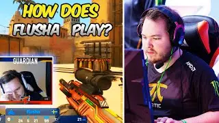 PRO PLAYERS REACTION TO FLUSHA PLAYS! BEST OF FLUSHA! CS:GO Twitch Moments