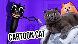 ПИТОМЦЫ ПРОТИВ КАРТУН КЭТ | CARTOON CAT В РЕАЛЬНОЙ ЖИЗНИ - НАПАЛ НА КИСУ БАТТЕРС И ШПИЦА ЭЛИС