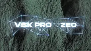 VSK ProZeo Expo2020