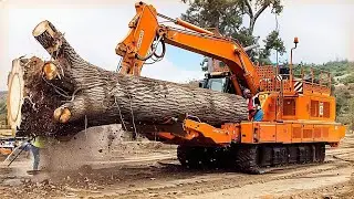 Dangerous Powerful Wood Chipper Machines in Action, Crazy Tree Shredder & Heavy Equipment Machines