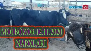 12.11.2020 ELLIKQAL'A MOL BOZORI