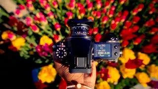 Using a VINTAGE lens on a $6,000 medium format camera?