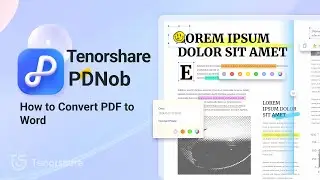 Tenorshare PDNob Guide | How to Convert PDF to Word