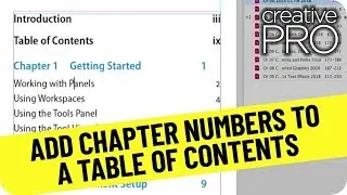 Add Chapter Numbers in a Table of Contents ft. Sandee Cohen // Three Minutes Max