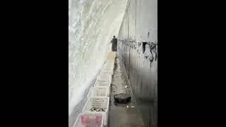Рыбалка на платине(шлюзе)