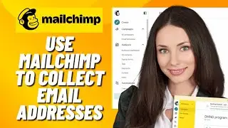 How to Use Mailchimp to Collect Email Addresses (2024)