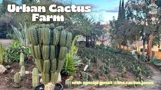 Urban cactus farm tour: The Cactus Jones 