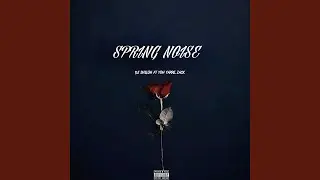 Spring Noise