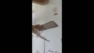 Оклейка стен детской комнаты фото обоями КАРТА МИРА  Донецк+Макеевка