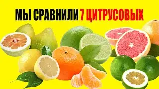 Смотрите Какие из 7 цитрусовых Полезнее Всего