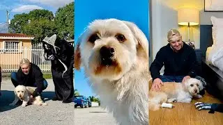 Our dog run away from home 🐕🥺 