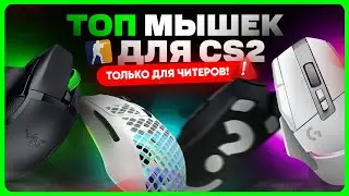 ТОП лучших мышек для CS 2 / CS:GO