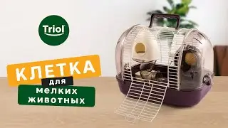 Клетка для грызунов «Студия»
