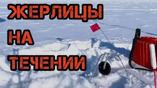 Жерлицы на судака на течении зимой. Монтаж, оснастка, наживка, установка, выбор места