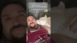 Я самый плохой хозяин амстаффа ! 