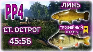 РР4 ОСТРОГ ЛИНЬ / РР4 ОСТРОГ ТРОФЕЙНЫЙ ОКУНЬ / РУССКАЯ РЫБАЛКА 4 ОСТРОГ ЛИНЬ ТРОФЕЙНЫЙ ОКУНЬ / RF4