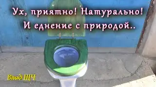 И снова необычная покраска  - деревянная крышка унитаза 🐬  [БЫТ]