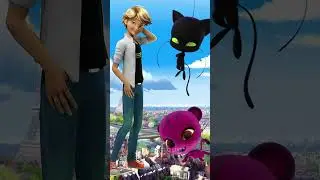 Cat noir with different Miraculous | Cat noir Unifications Miraculous Ladybug #catnoir #shorts