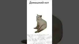 Лютые приколы 