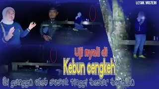 UJI NYALI DI KEBUN CNGKEH