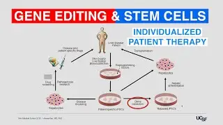 Individualized Patient Therapy, Stem Cells and Gene Editing
