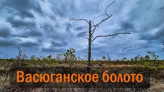 Поездка на Васюганское болото, ездил на экскурсию с группой и опытными инструкторами, 3 мая 2025 г.