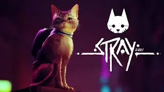 Обзор игры Stray. Самая смелая лапка в мире киберпанка