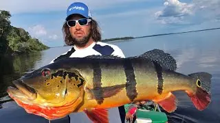 FISHING MONSTER PEACOCK BASS (Tucunaré) in the Amazon by Catfish World