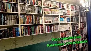 УБОРКА И ПЕРЕСТАНОВКА НА МОИХ КНИЖНЫХ СТЕЛЛАЖАХ
