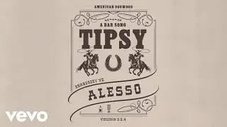 Shaboozey, Alesso - A Bar Song (Tipsy) [Remix] (Official Visualizer)